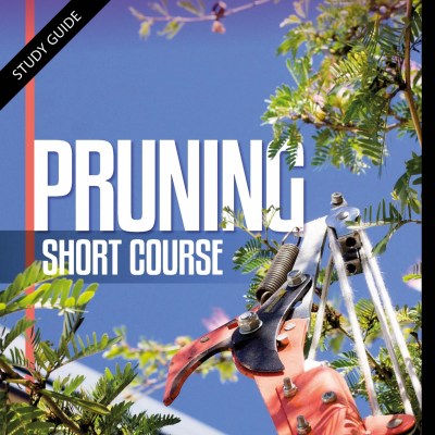 20 HOURS SHORT COURSE PRUNING