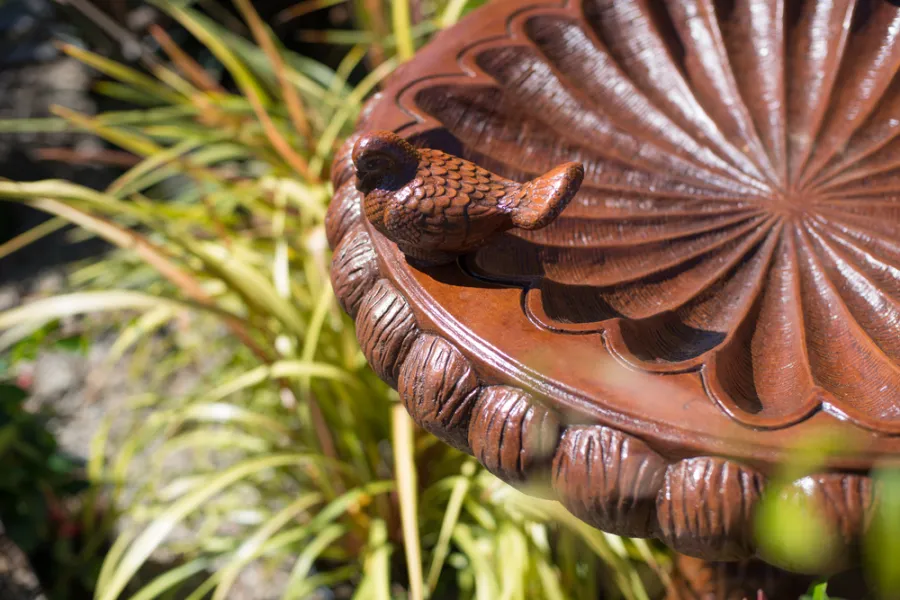 Closeup of brown birdbath in garden