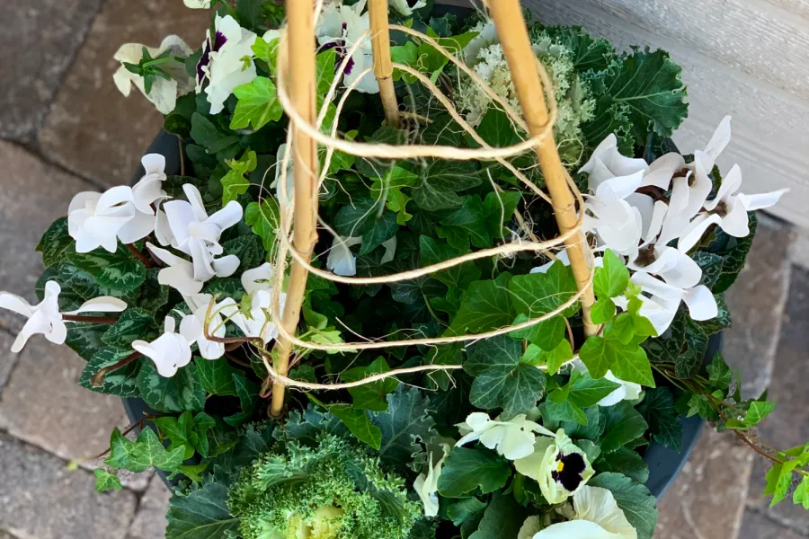 a close up of a sign