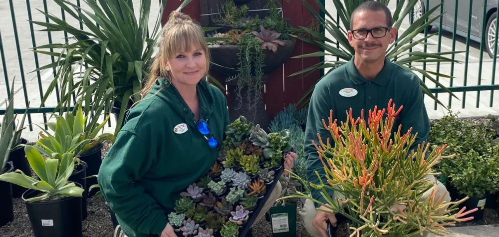 Armstrong store manager