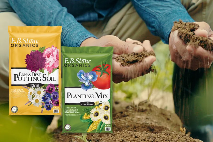 a person holding a box