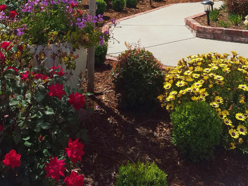 Landscape with blooming flowers installed by an Armstrong-certified landscape installer